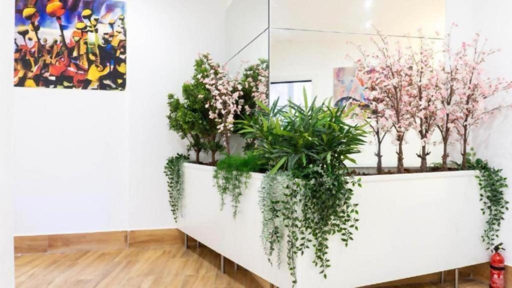 Ilustre Rooms Málaga Oda fotoğraf